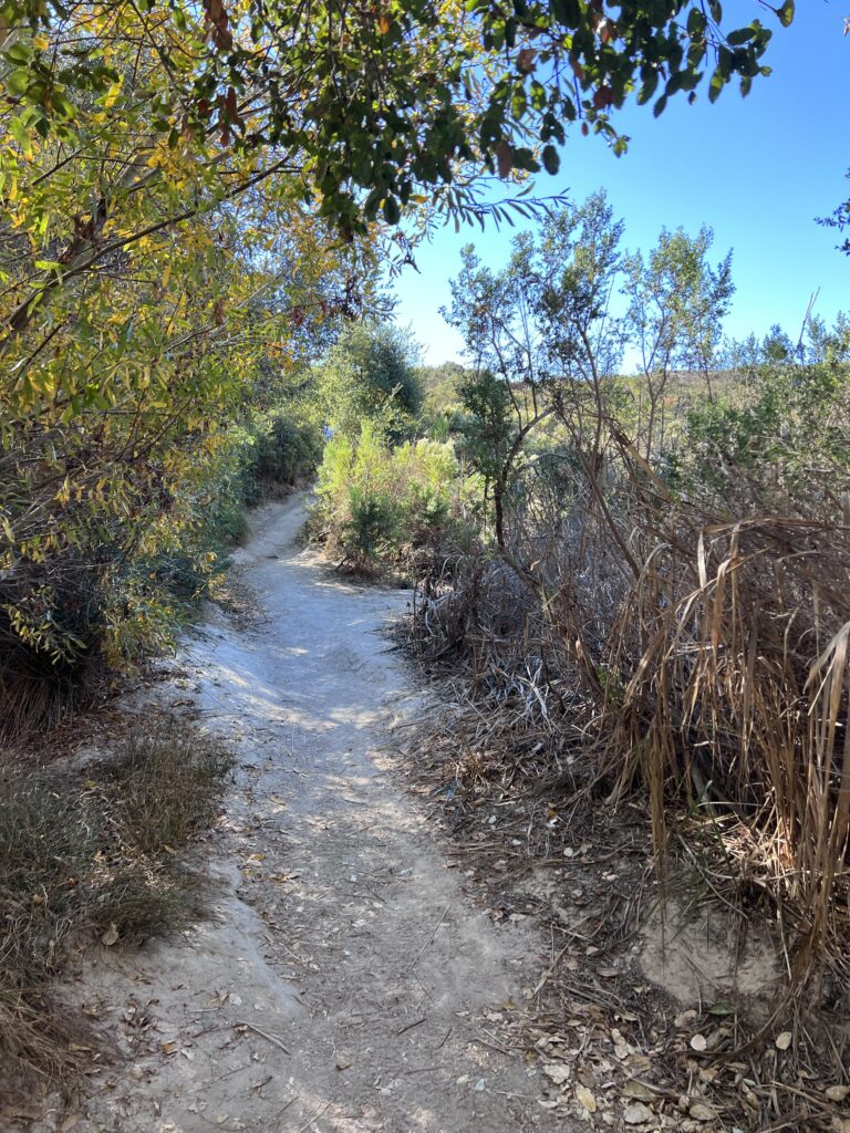 Ocean Hills Country Club - Mt Calavera Hike